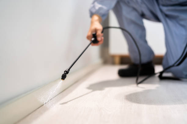 Licensed Pest Control service in Long Creek, IL - Show Me Pest Control