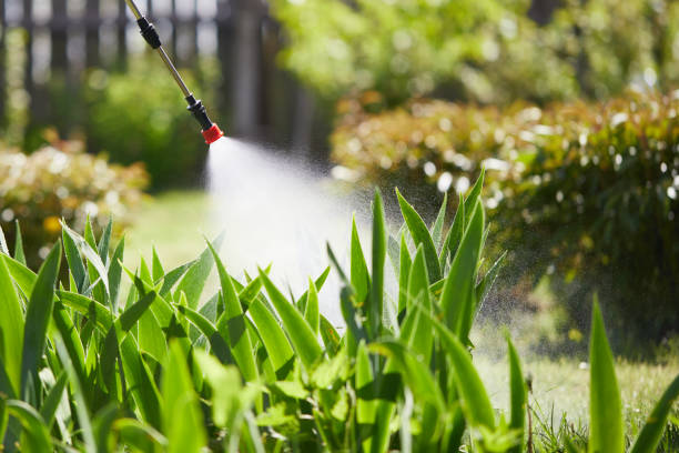 Tamper-Resistant Bait Stations for Rodents in Long Creek