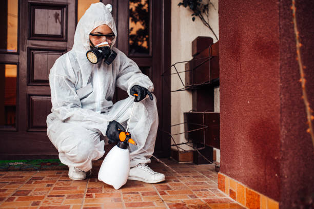 Attic and Crawl Space Rodent Treatment in Long Creek