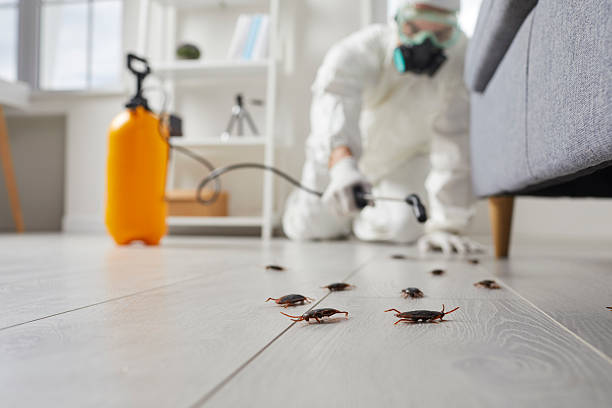 Commercial Rodent Management in Long Creek